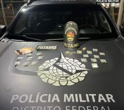 PATAMO