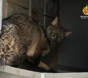 WhatsApp Image 2025-12-20 at 00.15.23 (1)