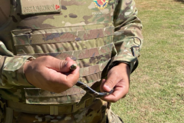 WhatsApp Image 2025-12-25 at 12.22.24