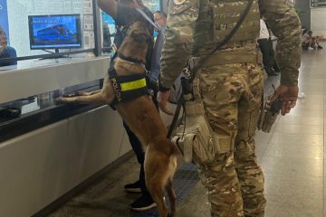 WhatsApp Image 2025-12-27 at 19.16.11