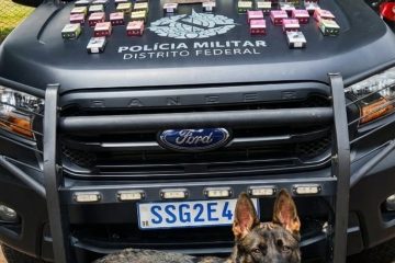 WhatsApp Image 2026-02-02 at 18.11.56