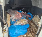 WhatsApp Image 2026-02-02 at 20.39.08