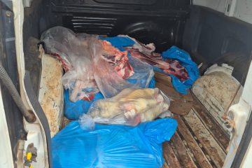 WhatsApp Image 2026-02-02 at 20.39.08