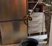 WhatsApp Image 2026-02-22 at 10.53.05