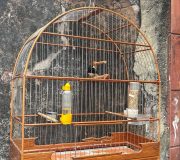 WhatsApp Image 2026-03-31 at 06.34.50