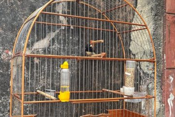 WhatsApp Image 2026-03-31 at 06.34.50