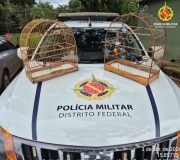 WhatsApp Image 2026-04-04 at 00.07.12