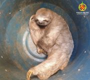 WhatsApp Image 2026-04-20 at 16.41.43