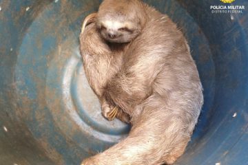 WhatsApp Image 2026-04-20 at 16.41.43