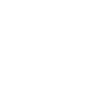 icon1