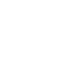 icon2