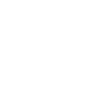 icon5